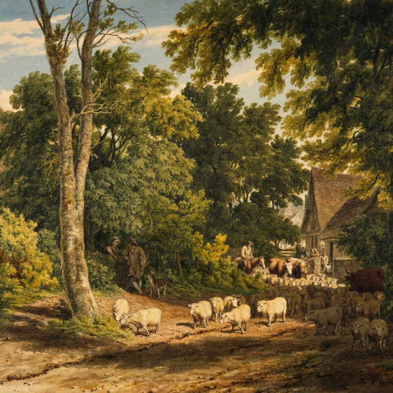 Echte content en storytelling