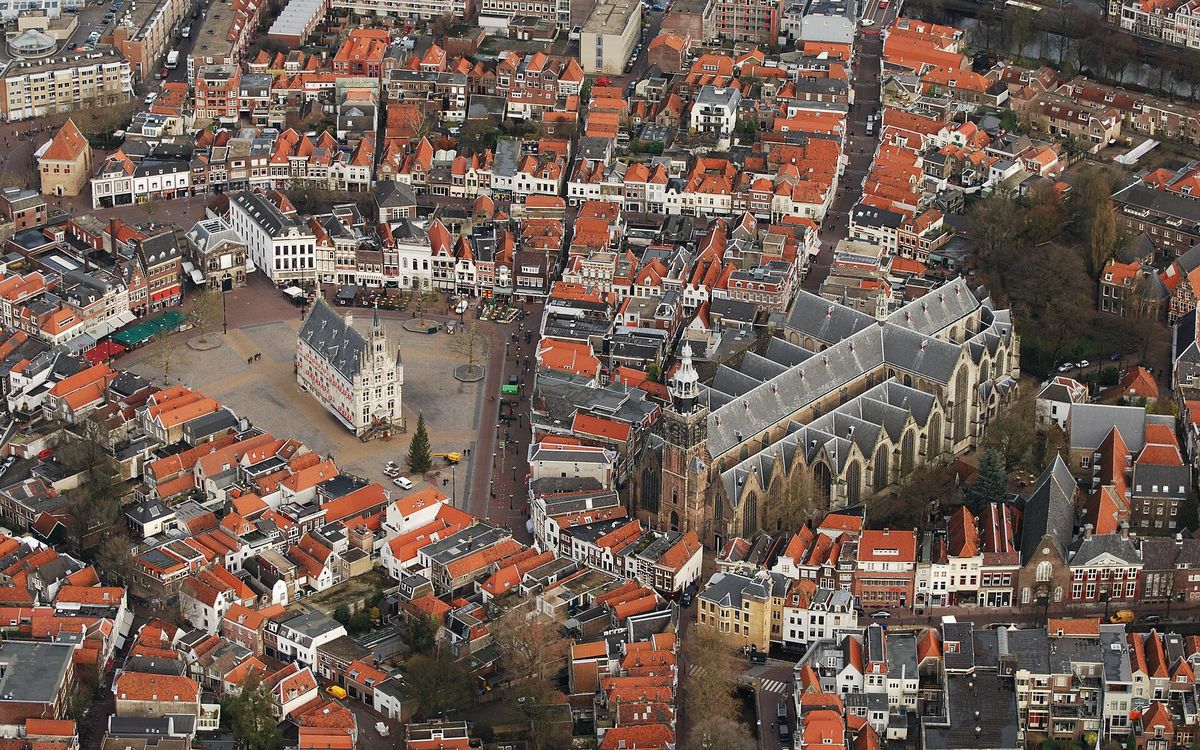 Gouda
